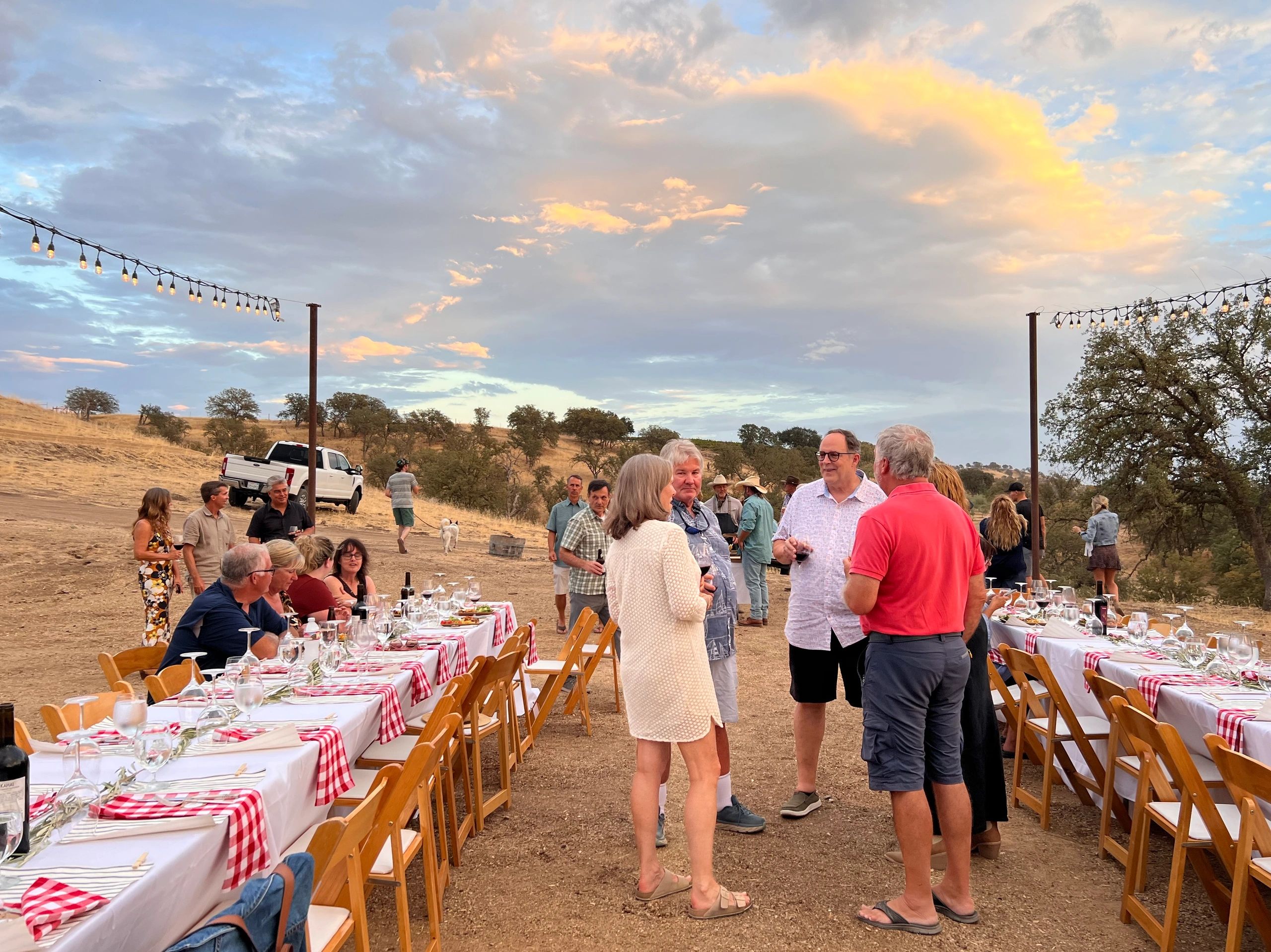 Olive Oil Paso Robles Heart Rock Ranch Olive Oil